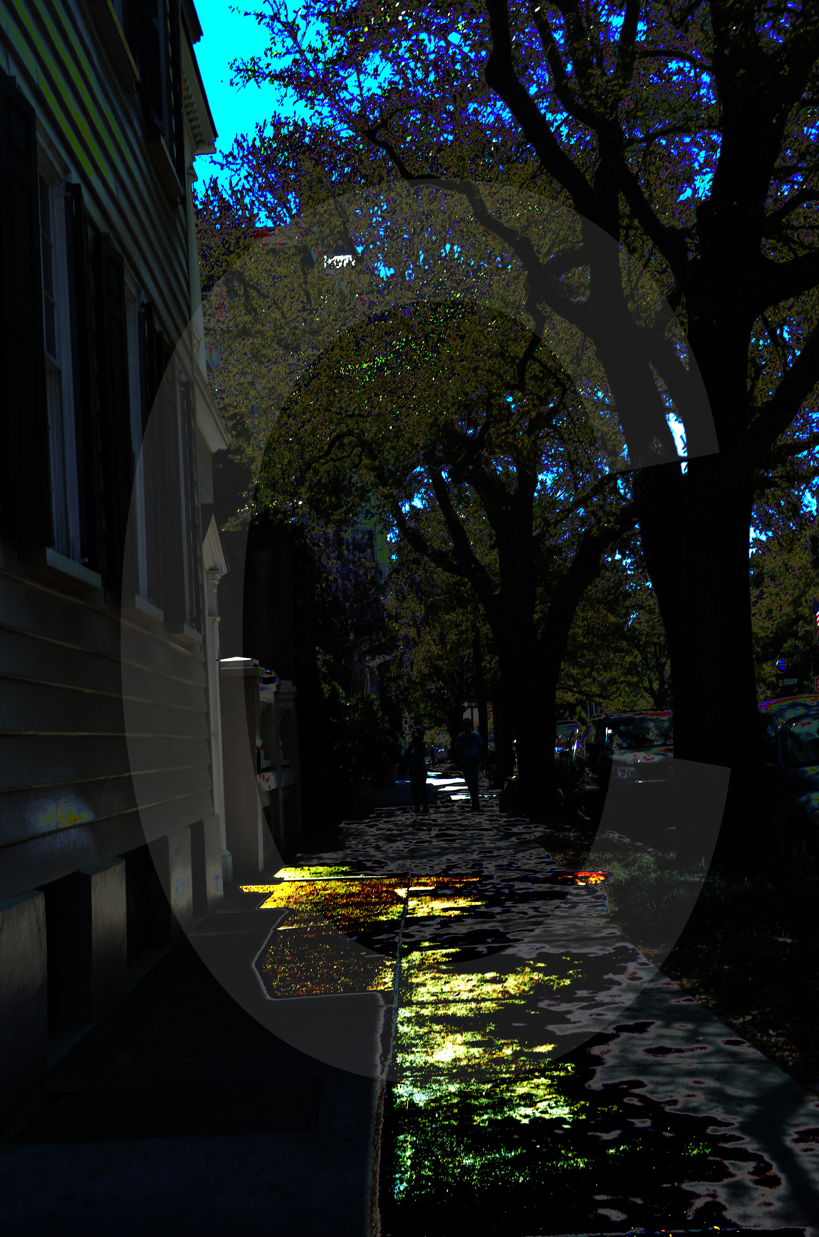art photography,creative photography,award winning photography, charleston, mount pleasant, south carolina, usa,digital photography,photo gallery,photography landscapes,landscape,